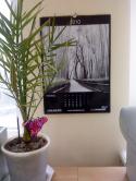 1000DSC00129.