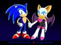 1045Sonic_and_Rouge_perfect_couple_by_Ihtiander.