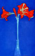 11880_Piet_Mondrian_Amaryllis.