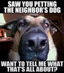 18167_dog-catches-you-petting-the-neighbors-dog.