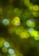 19105_bokeh_bg.