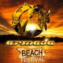 19146_1359230371_armada_beach_festival.