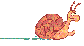 22297_992488400.