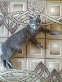 22904_Foto0019-1.