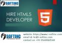 24843_hire-HTML5-Developer-in-Chandigarh.