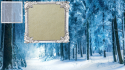 26227_snow-forest-hd-wallpaper-beraplan_Snow-Google-HD-Wallpaper-For-Desktop-Background.