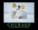 29348_courage.