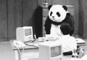 29760_Panda.