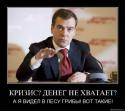 3147V_lesu_griby_vot_takie.