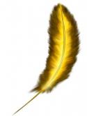 32081225225405_draw-a-feather-8.