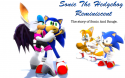 3258_sonic_the_hedgehog_reminiscent_sonic_and_rouge__by_shadow759-d56yhuo.