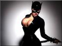 35978_catwoman-is-busty.