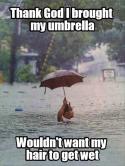 36782_funny-flood-umbrella-man.