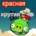 37404_krasnaya_krutaya.