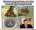 37712_roshen-kuchma-Putin-politika-645256.