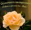 385542027765_40606321_7aed501e713a.