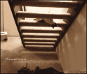 3939Cat_under_stairs_hax.