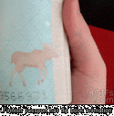 41757_funny-gif-passport-animation-moose-Finnish.