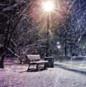 44399_winter-snow-lights-park-zima.