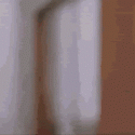 45476_2452867.