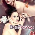 45725_1354271678_elect_lounge__2012_.