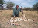 45912_hunting-cheetah-023.