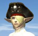 4623Pirate_hat_real.