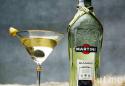 46580_butylka-martini-i-bokal-s-martini-na-serom-fone.