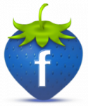 47026_facebook-icon.