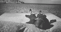 4786tumblr_lkup47Q9431qazkdco1_500.
