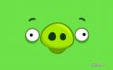 51564_angry_birds_pig_happy.