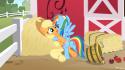 5227775321_-_Applejack_Friendship_is_magic_My_Little_Pony_Rainbow_Dash.