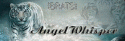 54802_gif_write_653a40.