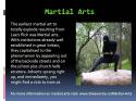 55582_Martial_Arts.