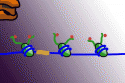 55627_gene-silencing-animationsmaller.