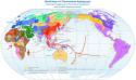 56705_World_Map_of_Y-DNA_Haplogroups.