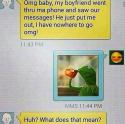 57550_funny-girlfriend-message-dumped-Kermit.