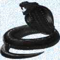 58101_Black-Snake-1.