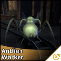 58618_antlionworker.