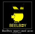 6084732355_beelboy-znaet-svoyo-delo_demotivators_ru.