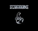 6238Scorpions.