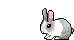 63543_sweet-bunny.