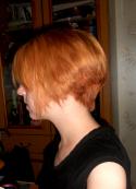 66713_DSCN94561.