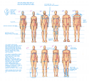 67928_assignment_2_proportions_by_randomlifes.