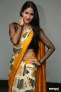 68497_tmp_25460-Lavanya-Tripathi-Latest-Sexy-Photos-In-Saree-4-684474960.