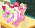 68616_824246_-_Daisy_Friendship_is_magic_My_Little_Pony_carrot_top_dashboom_lily_roseluck.