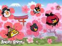 7289Angry-Birds-Seasons-Cherry-Blossom-Background-Teaser-3-730x547.