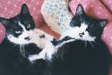 7356tumblr_lubnpjDMGm1qgroito1_500_large.