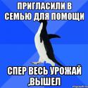 75660_socialno-neuklyuzhij-pingvin_58244474_orig_.