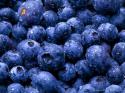 76395_wet-blueberries.